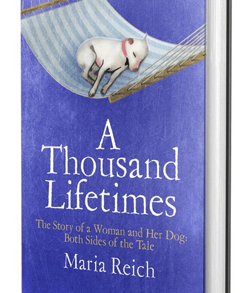 A Thousand Lifetimes Maria Reich